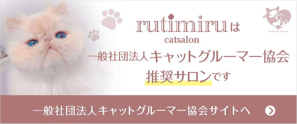 一般社団法人キャットグルーマー協会サイト