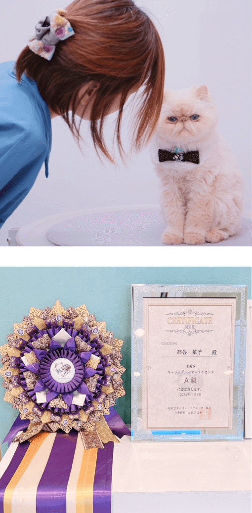 オーナーと資格