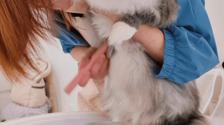 カット技術の高さ